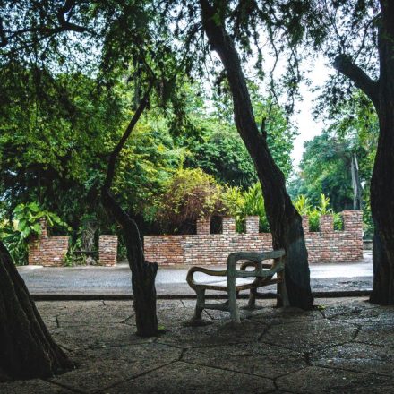 Hope Gardens